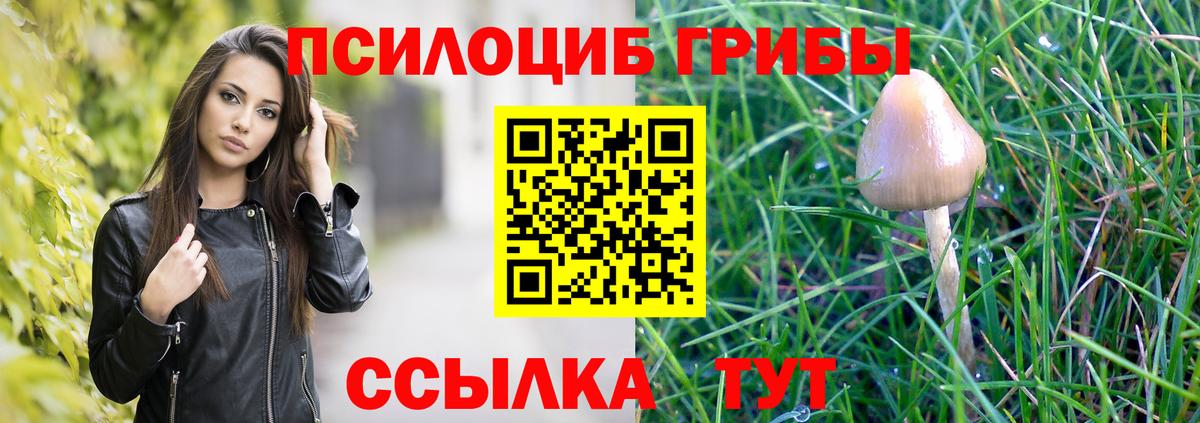 Новошахтинск  Псилоцибиновые грибы прущие грибы  Вход с VPN  купить наркотики цена  Галлюциногенные грибы мицелий 